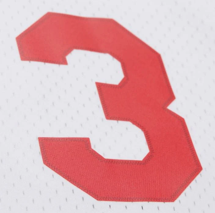 Adult Allen Iverson Philadelphia 76ers Mitchell & Ness White 2009 Throwback Swingman Jersey - Men's - Image 7