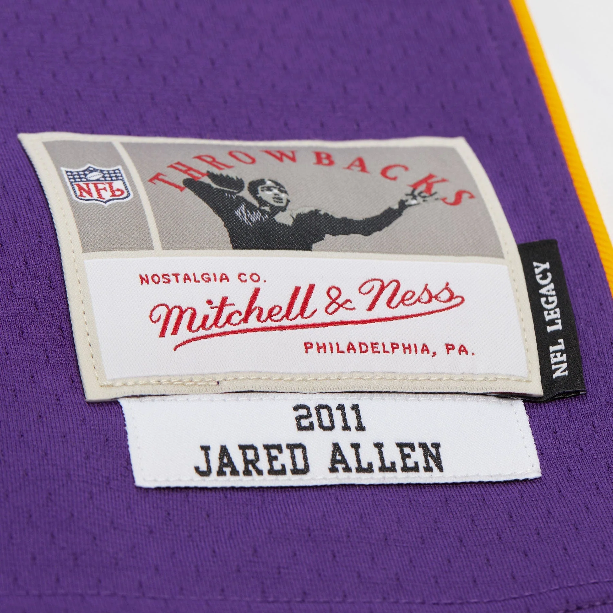 Adult Jared Allen Minnesota Vikings 2011 Mitchell & Ness Purple Throwback Jersey - Men's - Image 4