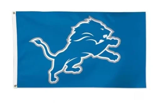 All Ages Detroit Lions WinCraft 3' x 5' Single-Sided Flag - Unisex
