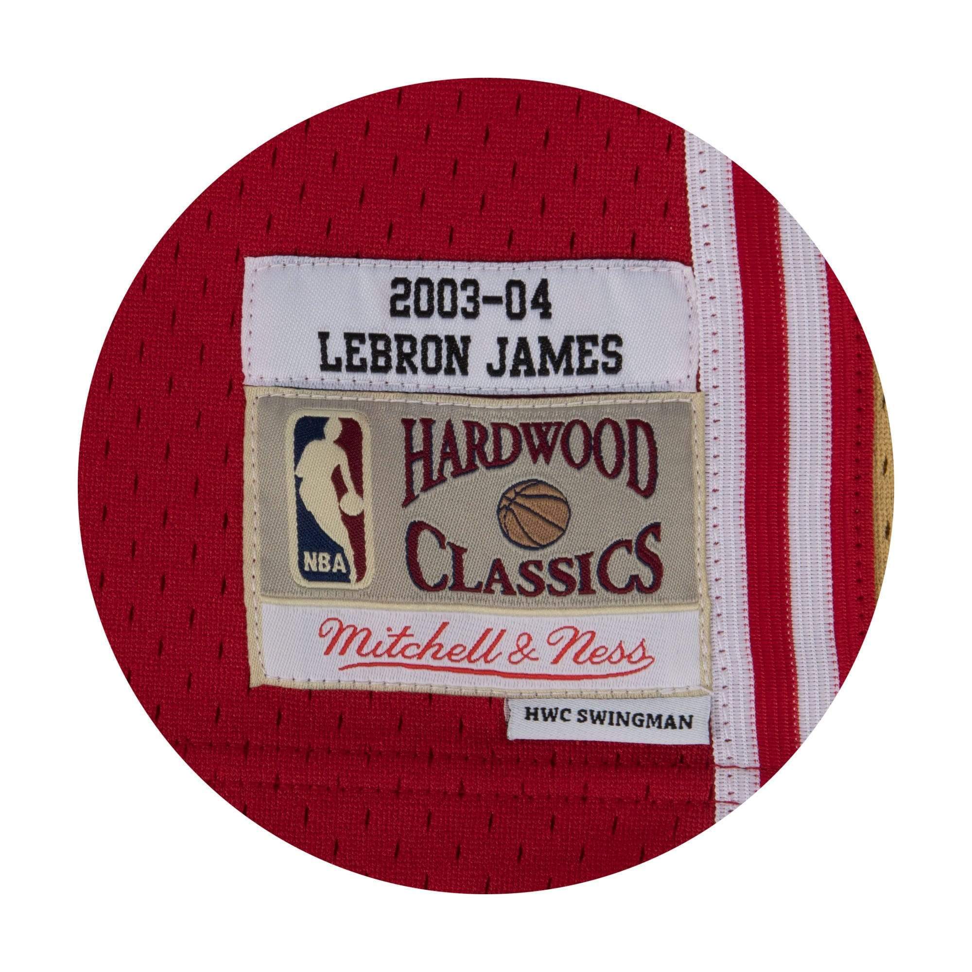 Adult LeBron James Cleveland Cavaliers Mitchell & Ness Maroon 2003 Throwback Swingman Jersey - Men's - Image 2